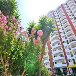 Clube Da Rocha 3* بورتيماو